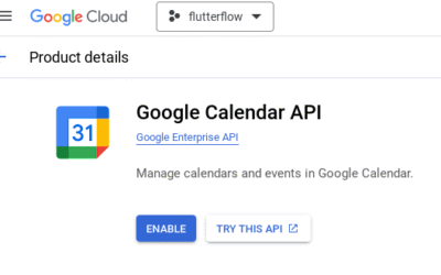 Google Calendar API